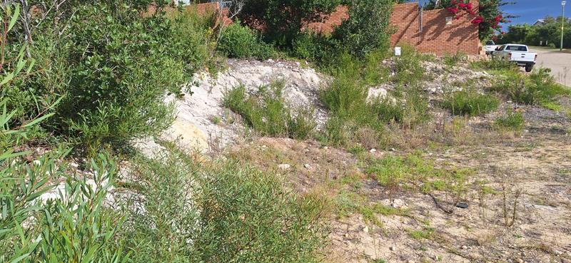 0 Bedroom Property for Sale in Bergsig Western Cape